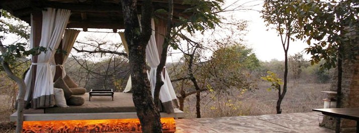 717/Taj Pashan Garh Panna National Park - Panna 14.jpg